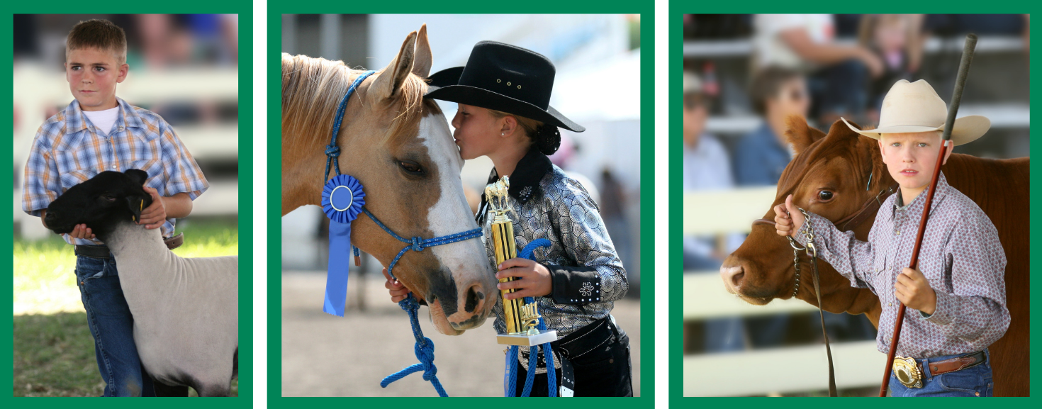 4-h-participation-recognition-flyer_3-pic-header