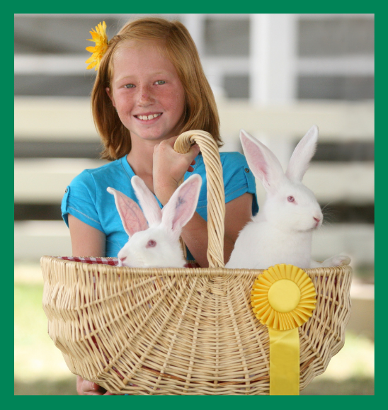 4-h-participation-recognition-flyer_girl-with-rabbits