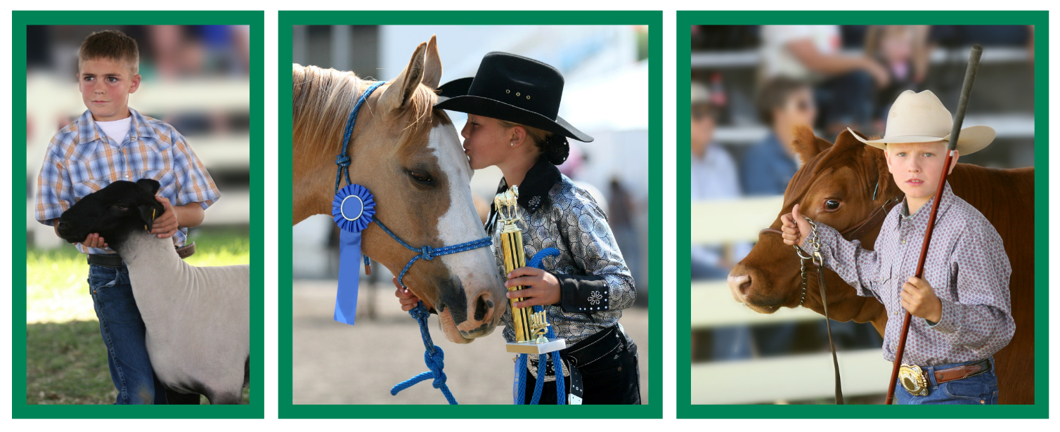 boy with sheep, girl with horse and boy with cow at the fair